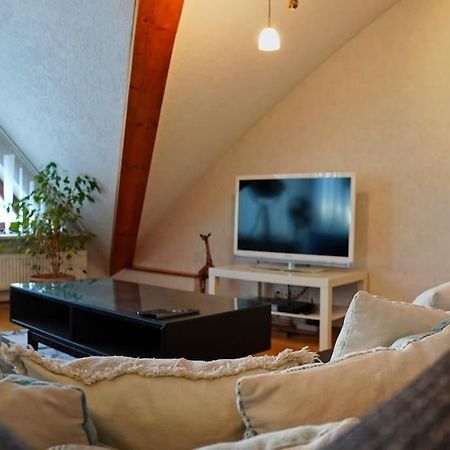 Grosse, Helle Wohnung Fuer Bis Zu 6 Personen Weinheim Kültér fotó